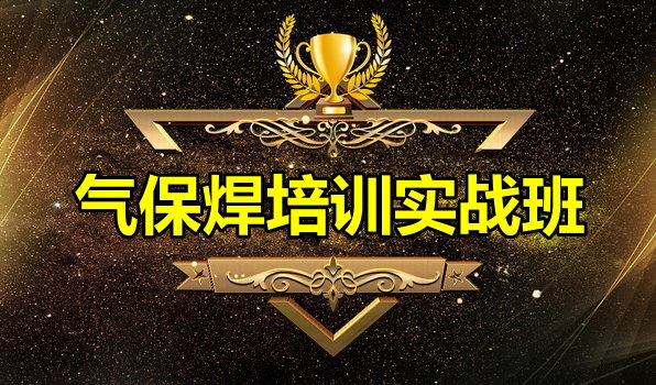 ������ʵս��