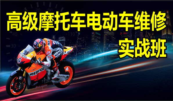 �߼�Ħ�г��綯��ά��ʵս��