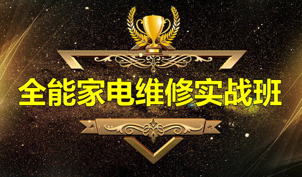 ȫ�ܼҵ�ά��ʵս��